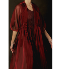 Chiffon Chal and pleated Dress